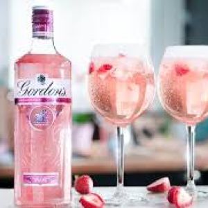 Gordons Cin Pink Şişe