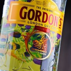 Gordons Cin Şişe