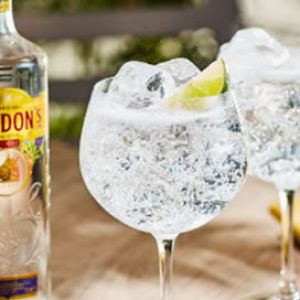 Gordon’s Cin Tonik